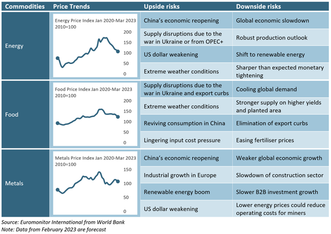 Commodity Market Outlook Q1 2023 Chart 1