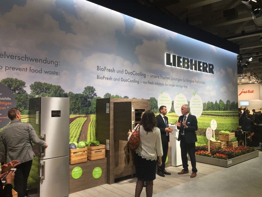Ifa 2.4